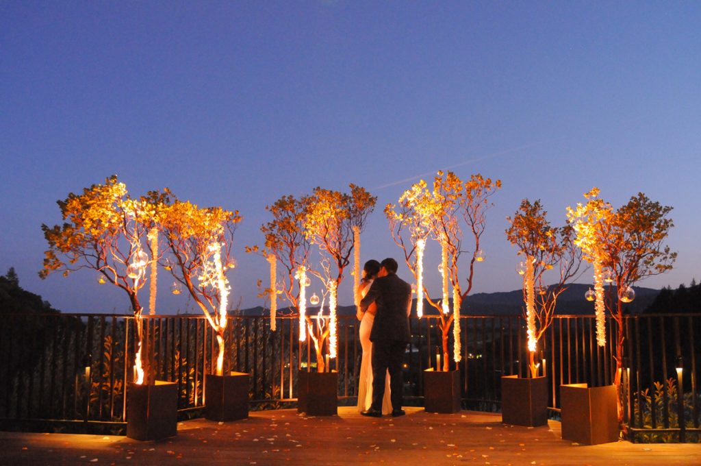 napa wedding photographer at Auberge du soleil