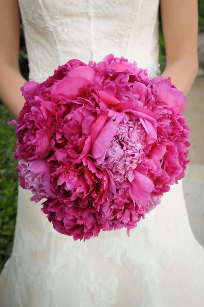 V. Sattui Wedding Photography