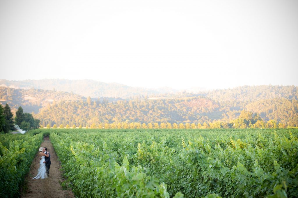 V. Sattui Wedding Photography