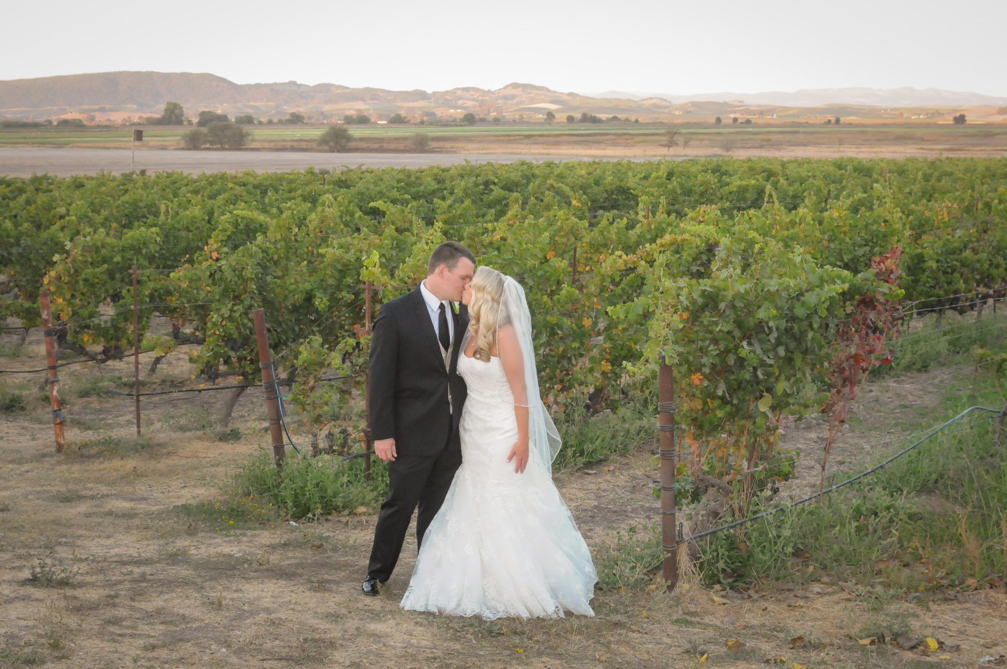 Wedding Photographer in Sonoma