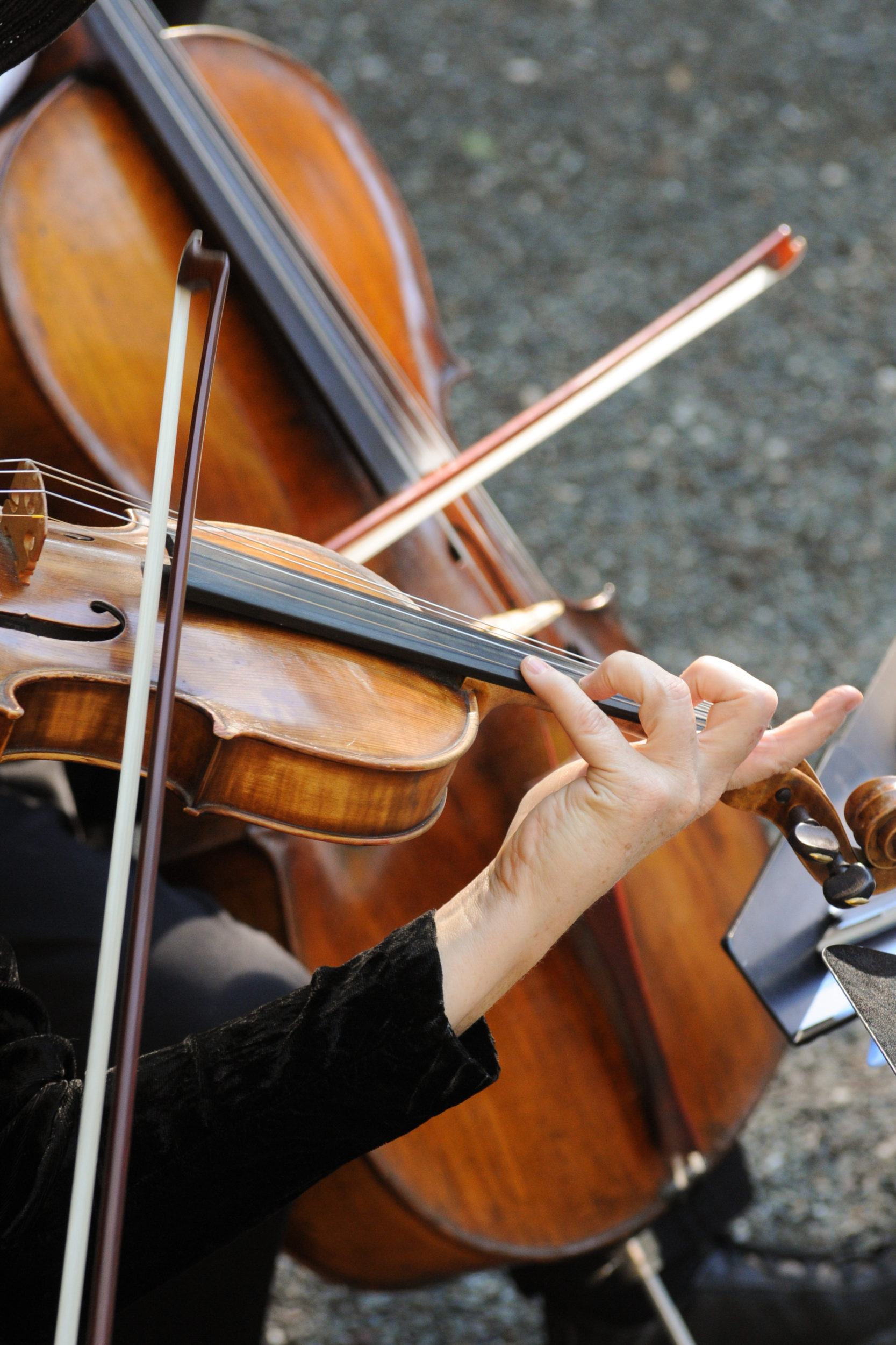 Elope in wine country