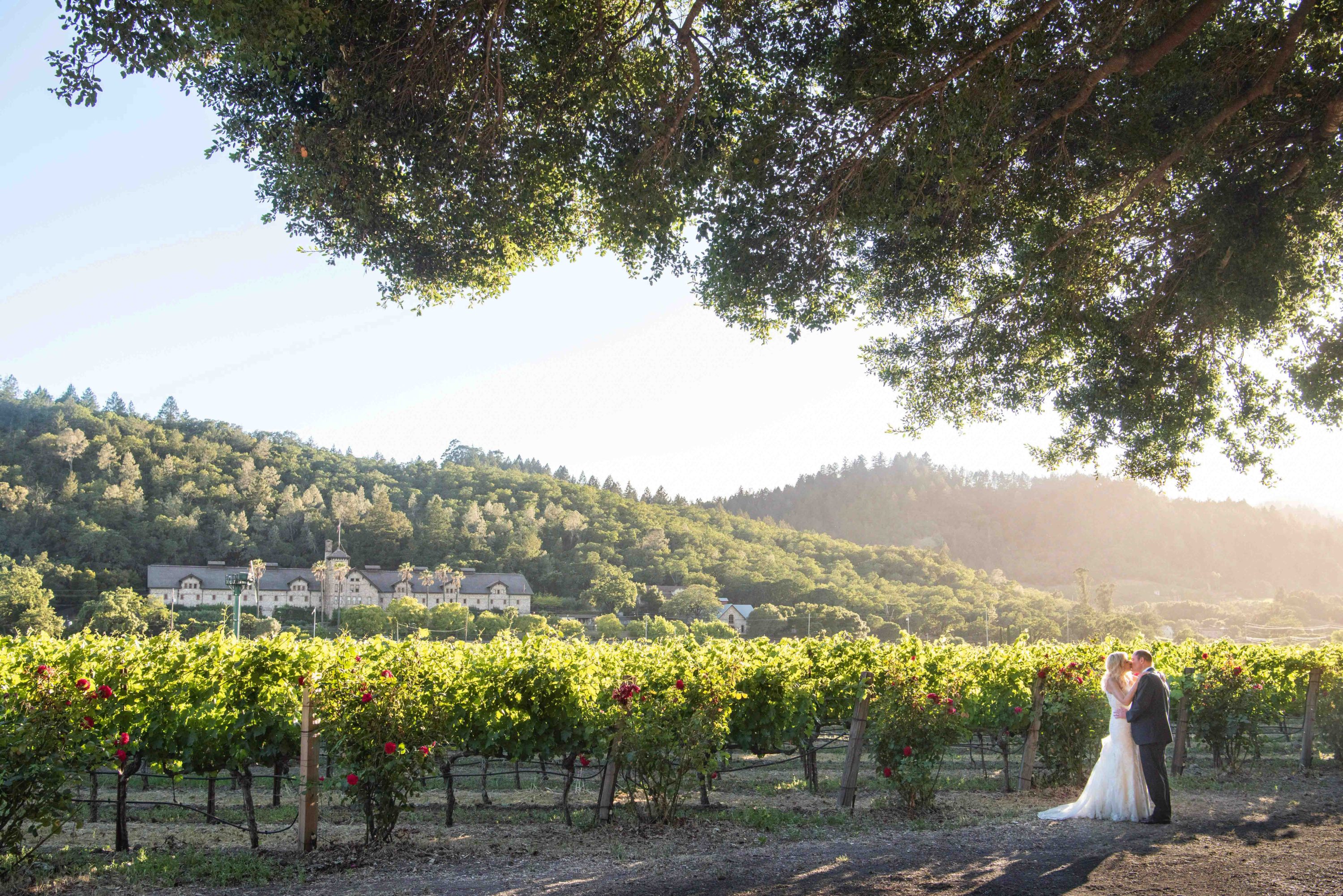 Elope in wine country